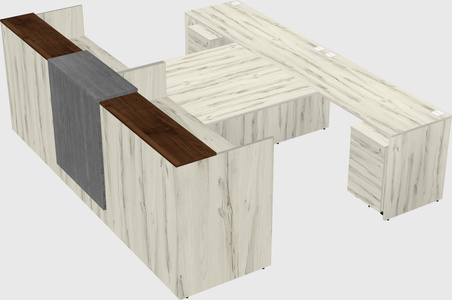 Shared u-shaped reception desks