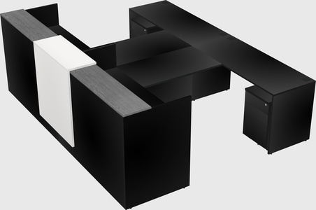 Shared u-shaped reception desks