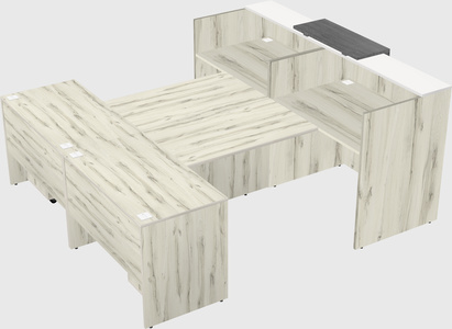 Shared u-shaped reception desks