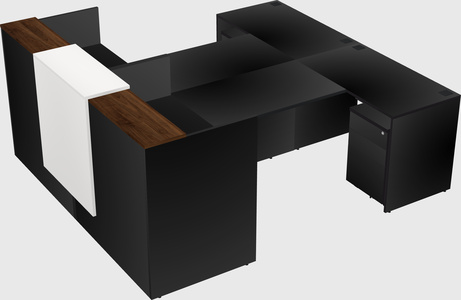 Shared u-shaped reception desks