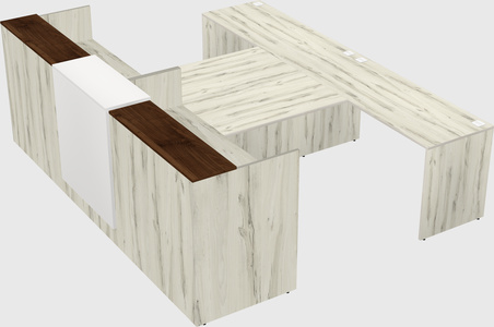 Shared u-shaped reception desks