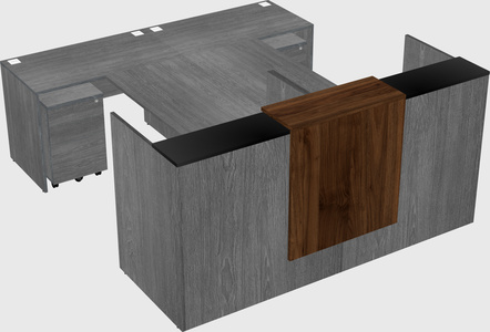 Shared u-shaped reception desks