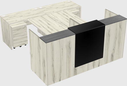 Shared u-shaped reception desks