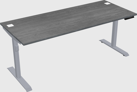 Dual motor electric desk